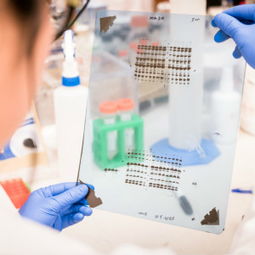 技術服務采購指南 價格與供應商信息解析